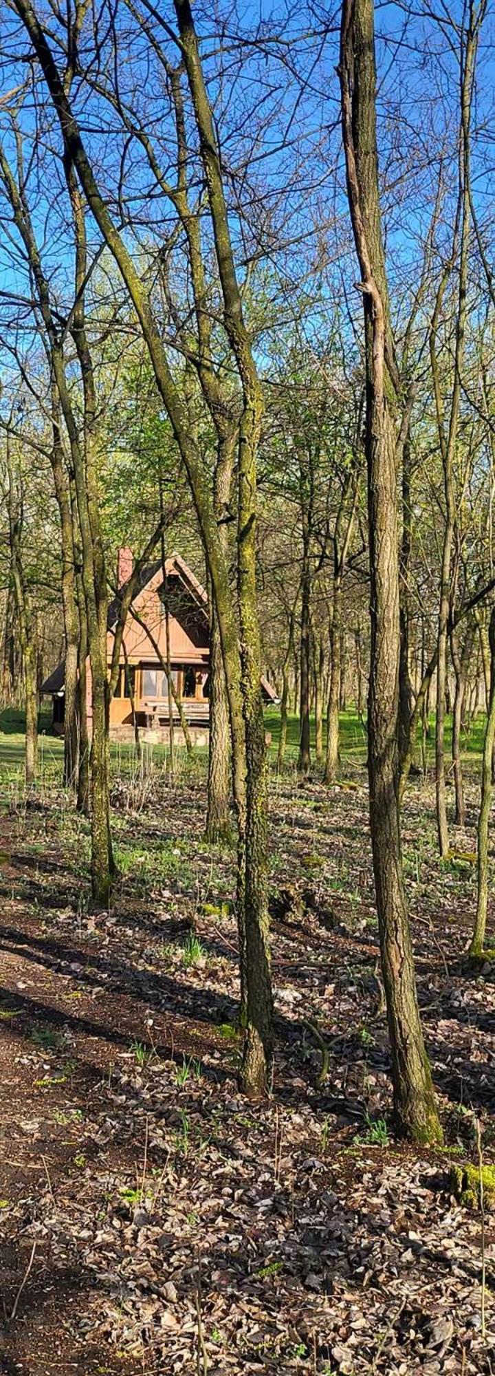 Villa Gyömbér Tanya Ásotthalom Exterior foto